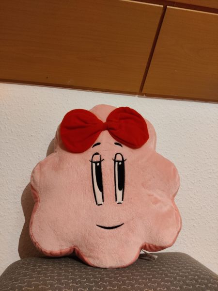 Datei:Rosa Kissen.jpg